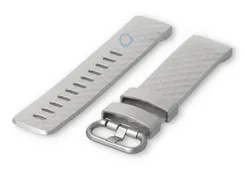 Fitbit Charge 3/4 watch band rubber - Metallic silver (Size: S)