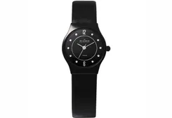 Skagen watch band 233XSCLB