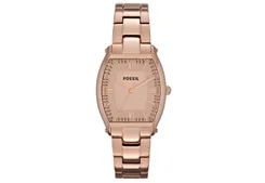 Fossil horlogeband ES3120