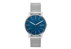 Skagen Watch Strap SKW6904