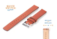 Skagen watch band SKW2434