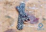 Samsung Galaxy Watch Active 2 watchstrap skull print