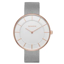 Skagen Uhrenarmband SKW2583