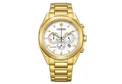 Citizen Watch strap CA4592-85A