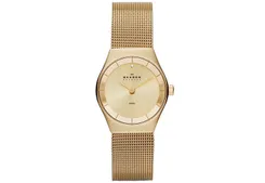 Skagen Uhrenarmband SKW2045