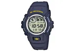 Casio Uhrenarmband G-2900F-2ER