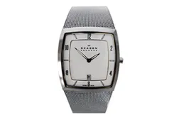 Skagen watch band 380LSGS