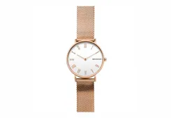 Skagen watch strap SKW2714
