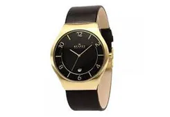 Skagen Uhrenarmband SKW6145