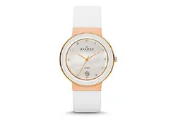Skagen Uhrenarmband SKW2034