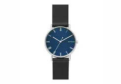 Skagen watch strap SKW6434