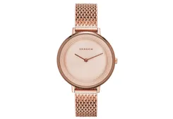 Skagen watch band SKW2334