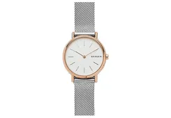 Skagen watch band SKW1106