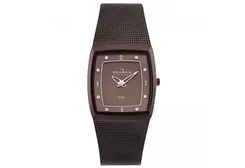 Skagen watch band 380SMM
