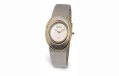 Skagen watch band 548SGSCD