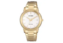 Citizen watchband FE6012-89A