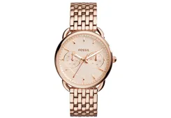 Fossil horlogeband ES3713
