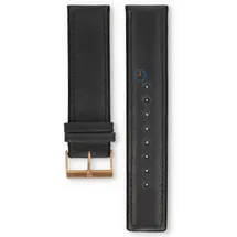 Skagen watch band 243LRLB