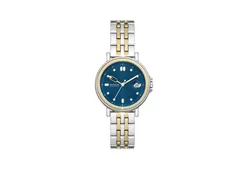 Skagen Watch Strap SKW3137