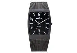 Skagen watch band 851LTBB