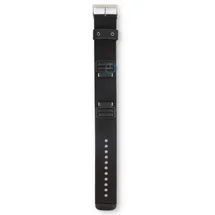 Watchband Casio AW-591MS-1A