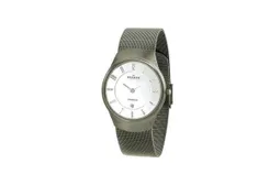 Skagen watch band 533STTW