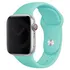 Bright Turquoise