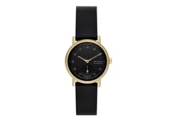 Skagen Uhrenarmband SKW3114
