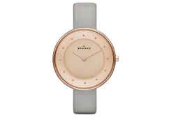 Skagen Uhrenarmband SKW2139