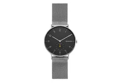 Skagen watch band SKW6470