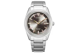 Citizen Watch strap AW1641-81E