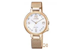 Citizen watchband EE4033-87A