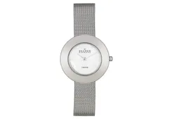 Skagen watch band 569STW
