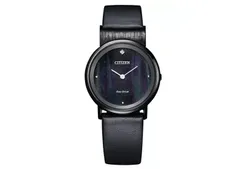 Citizen watch strap EG7095-13E