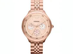 Fossil horlogeband ES3241