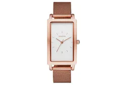 Skagen watch band SKW2466