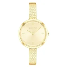 Calvin Klein watch-band 25200182 Iconic