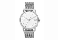 Skagen watch strap SKW6399