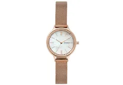 Skagen watch strap SKW2865