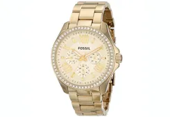 Fossil horlogeband AM4482